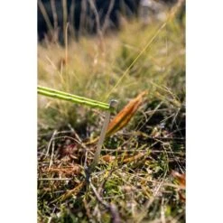 Coleman Cobra 3 -Buiten Kamperen Cobra20320217690820Lifestyle2016 550x550h