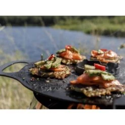 Petromax Atago Opzetstuk -Buiten Kamperen Petromax20Atago20Grillplaat3 550x550w